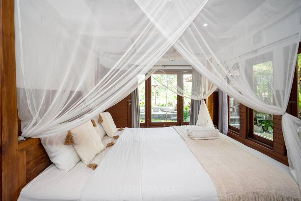 Beautiful 3 Bedroom Jungle View Villa