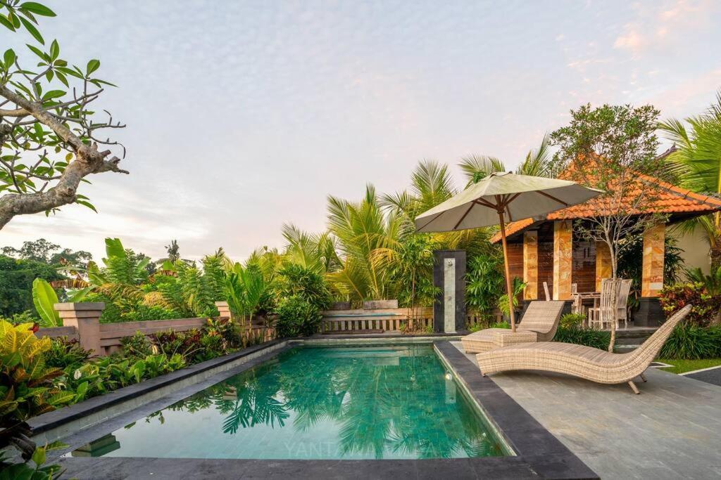 Beautiful 3 Bedroom Jungle View Villa Ubud (Bali)